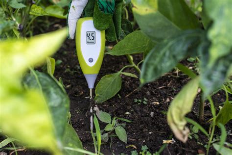 custom soil moisture meter for citrus trees|soil moisture sensor benefits.